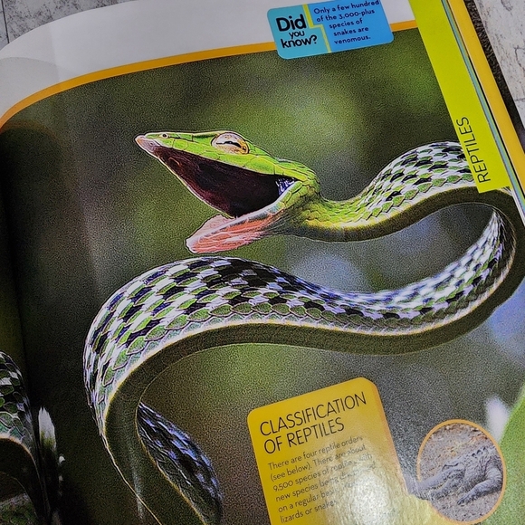 National Geographic Animal Encyclopedia - Picture 12 of 15